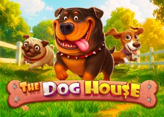 สล็อต88 The Dog House ทดลองเล่นฟรี
